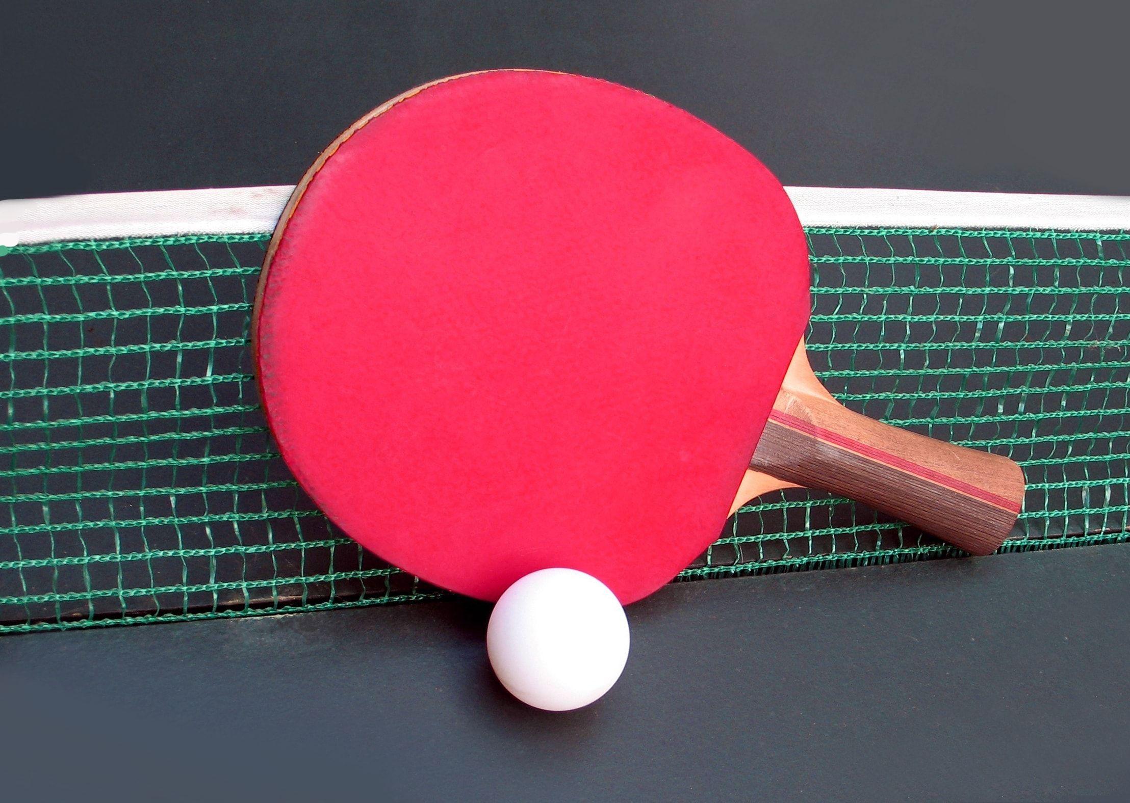Red racket for table tennis at the net wallpaper and image