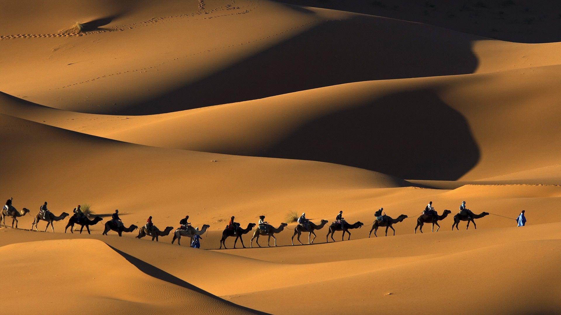 Sahara Desert Wallpaper