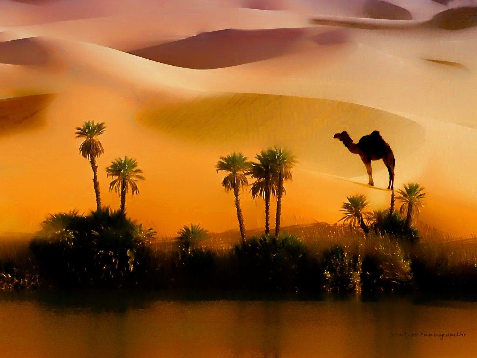 Desert Painting Art Nature Sahara Wallpaper Desert for HD 16:9