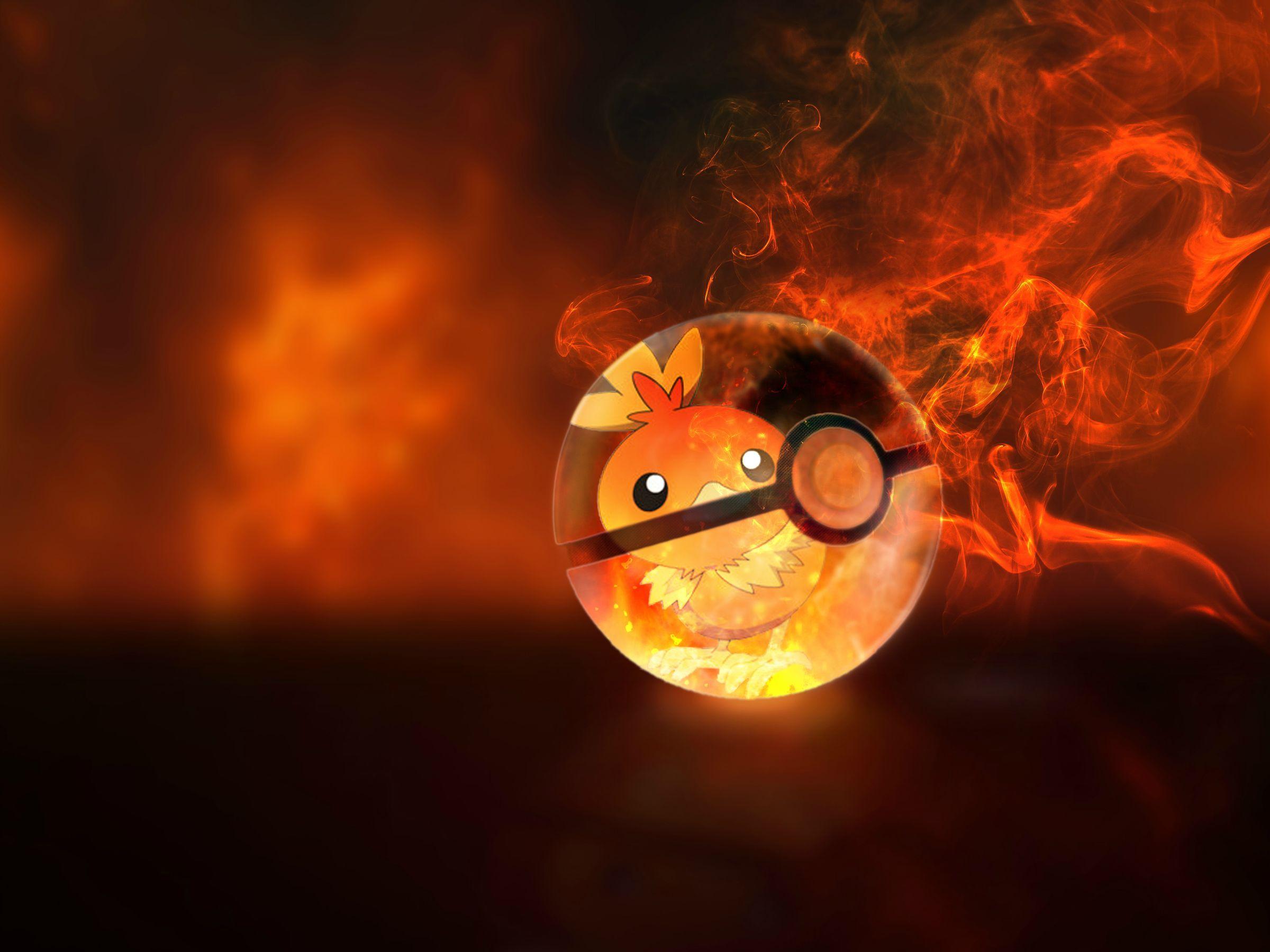 Torchic wallpaper