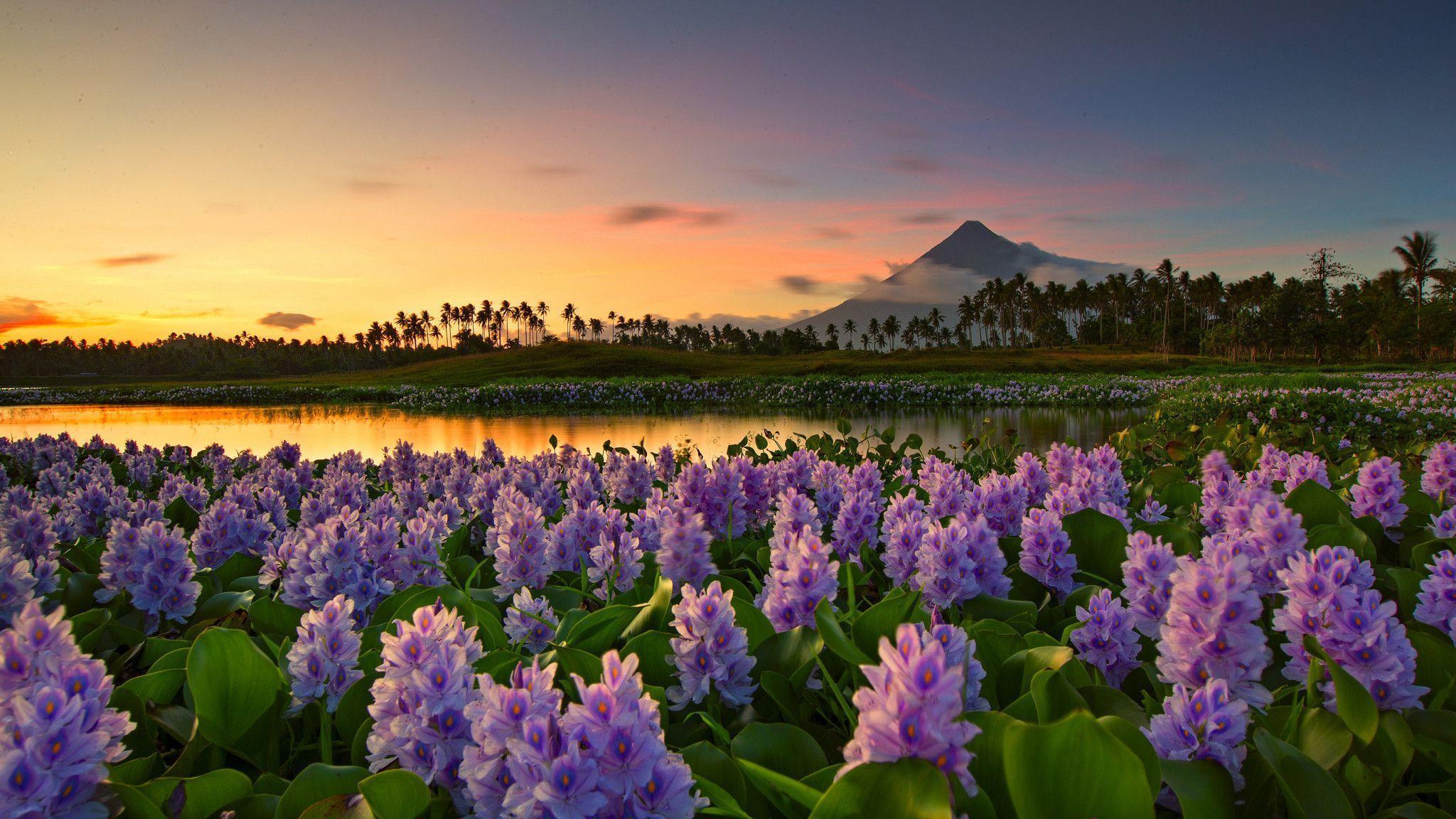 Mayon Volcano at distance, Philippines