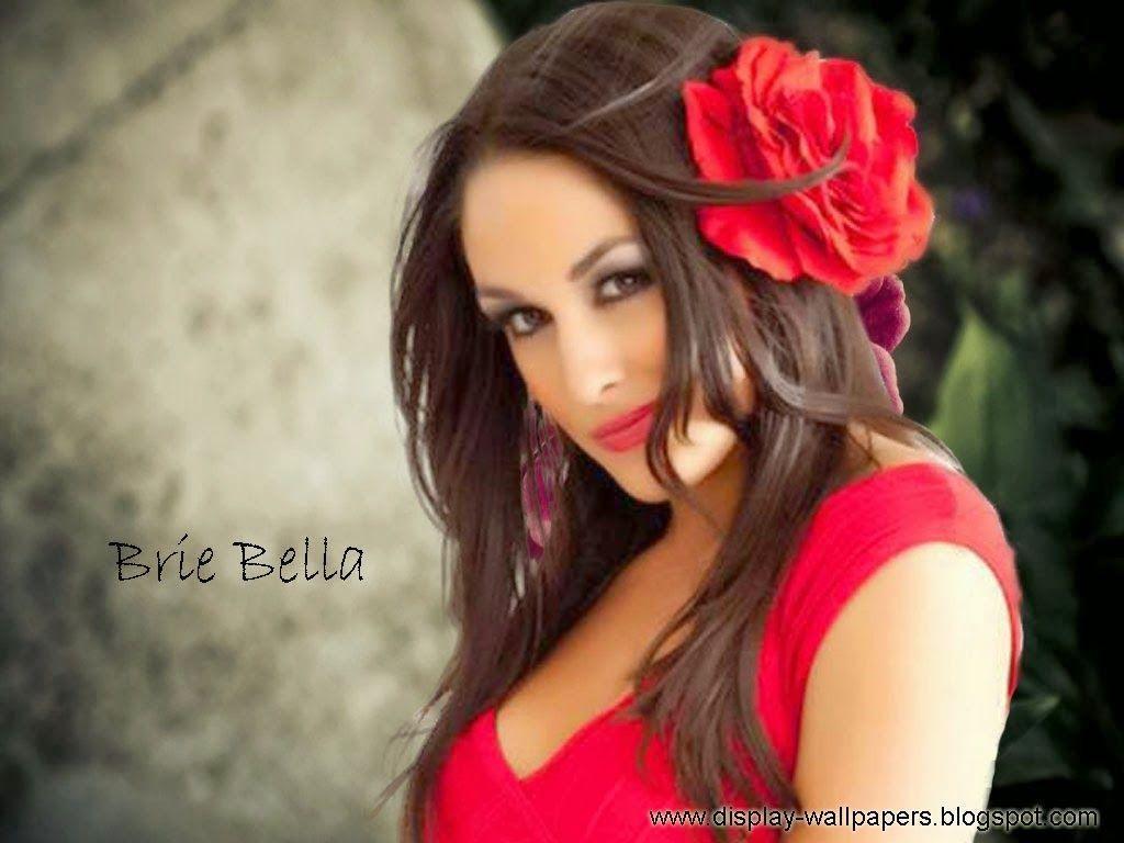 Brie Bella Wallpaper. WWE DESKTOP HD WALLPAPERS FREE DOWNLOAD