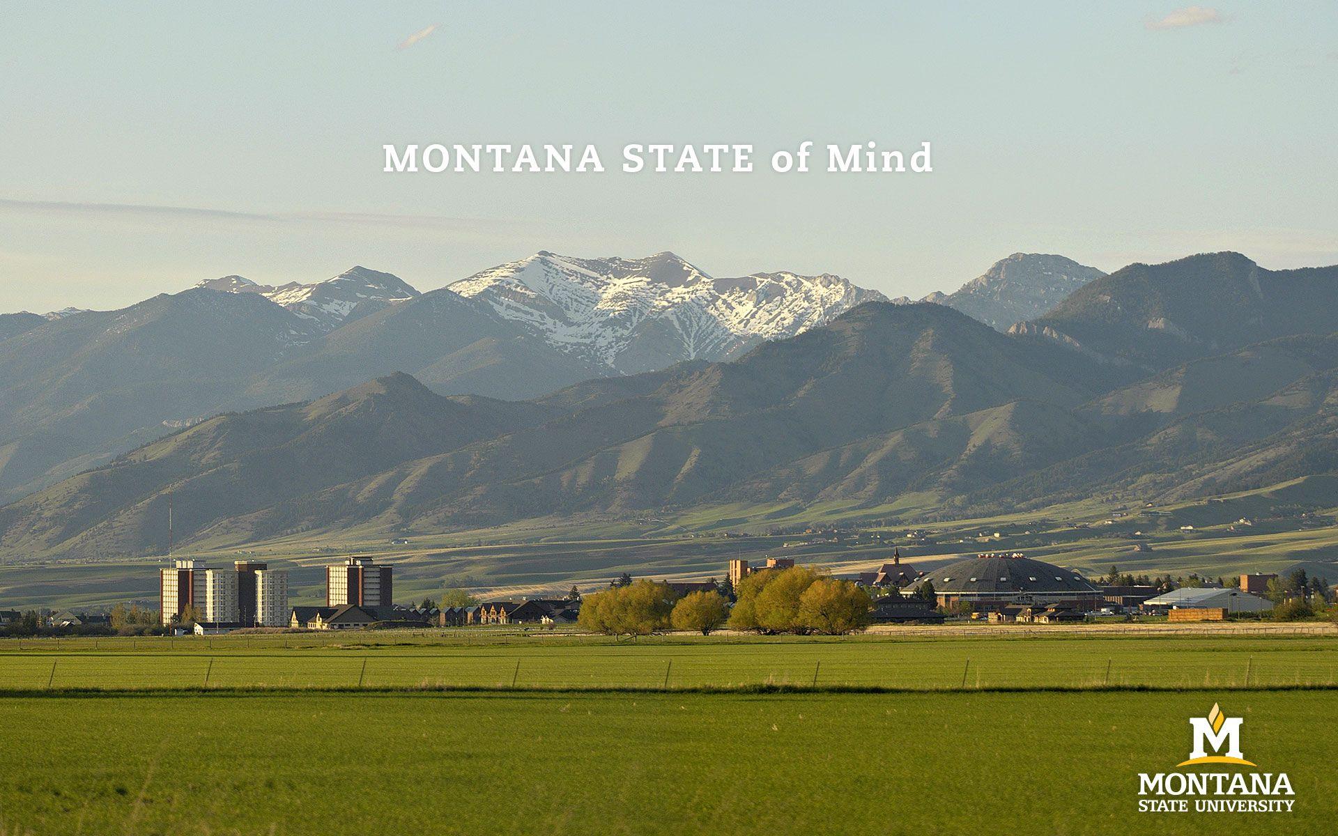 Desktop, Mobile and Tablet Wallpaper. Montana State