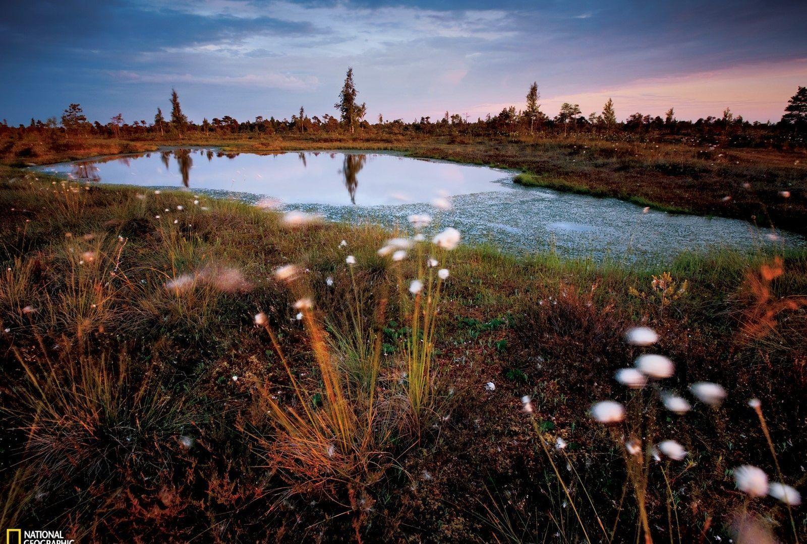 Latvia Tag wallpaper: Daugava Latvia Nature Rivers River Pc