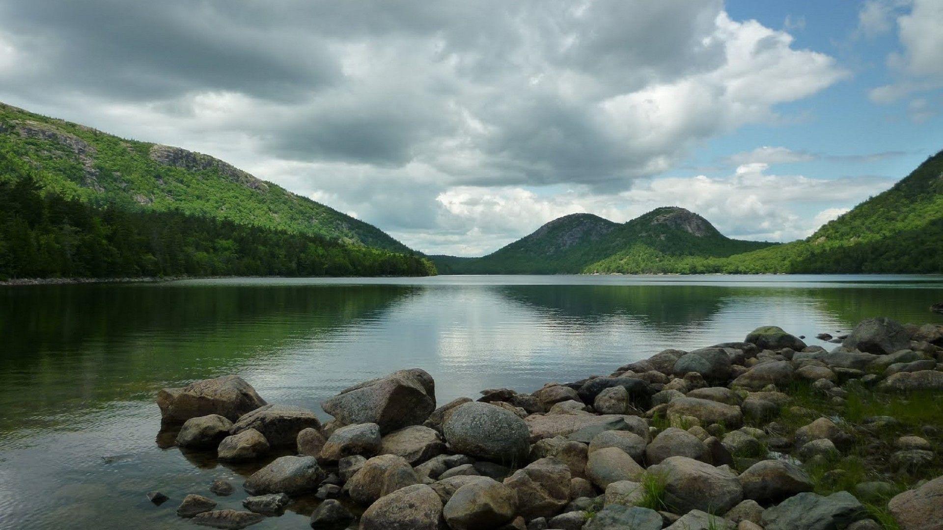 Acadia National Park Wildlife Wallpaper