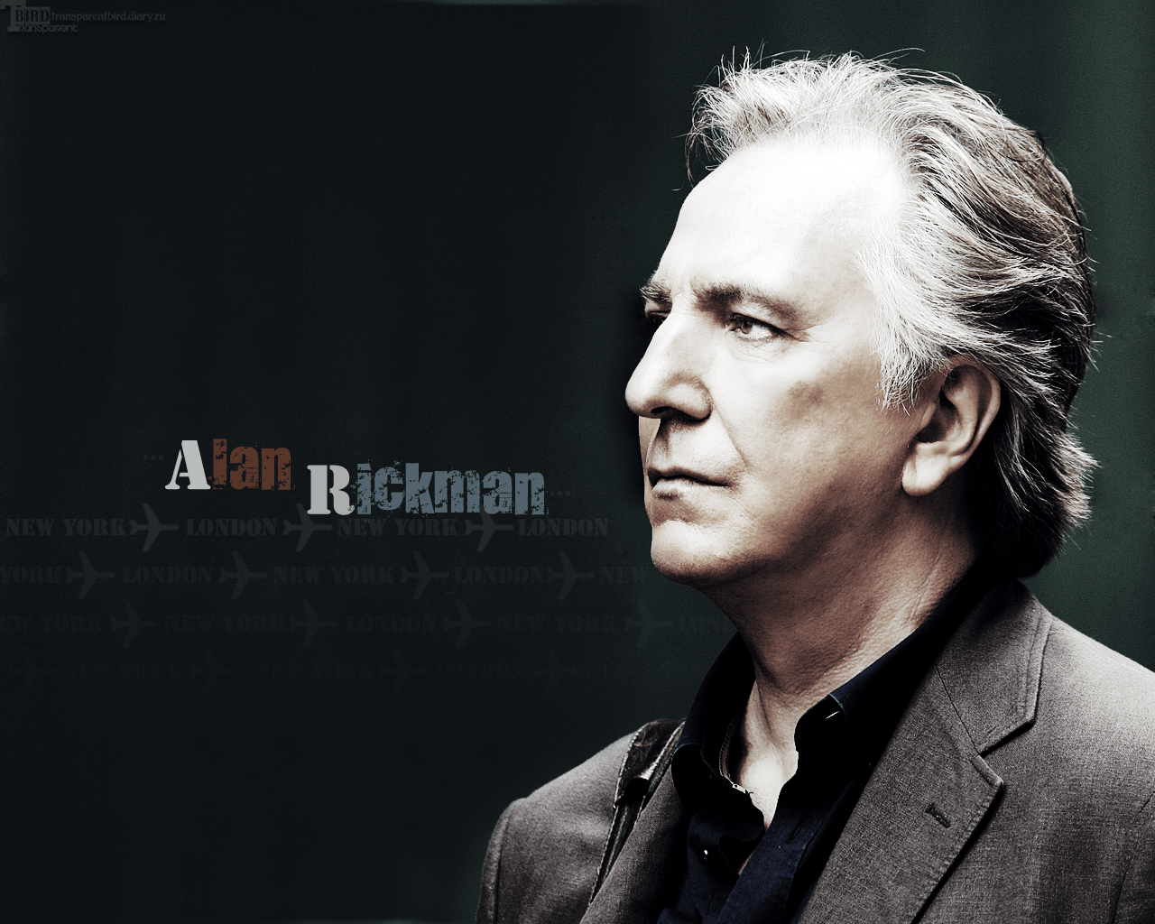 Alan Rickman HD Desktop Wallpaper