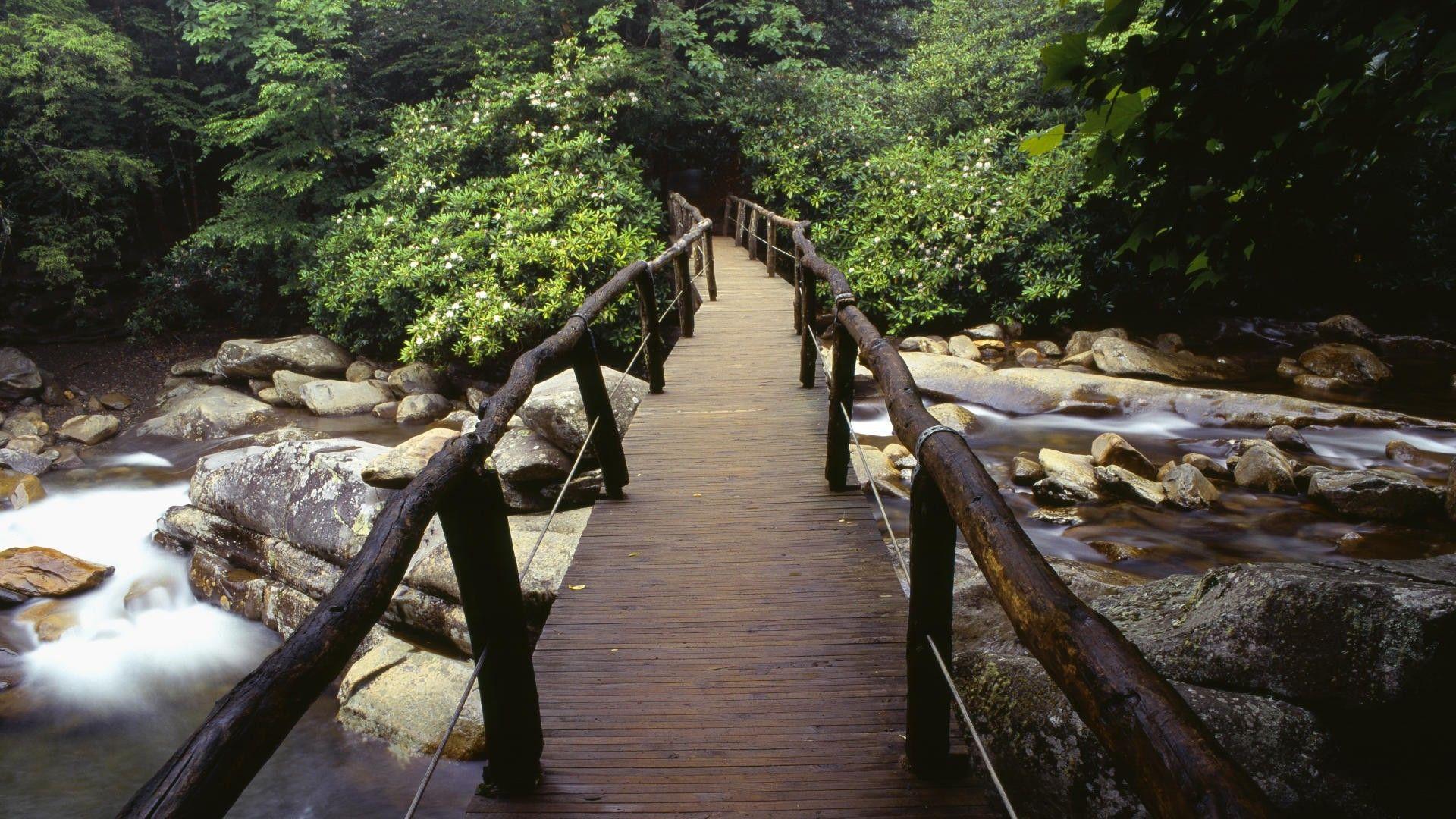 Great Smoky Mountains National Park Wallpaper