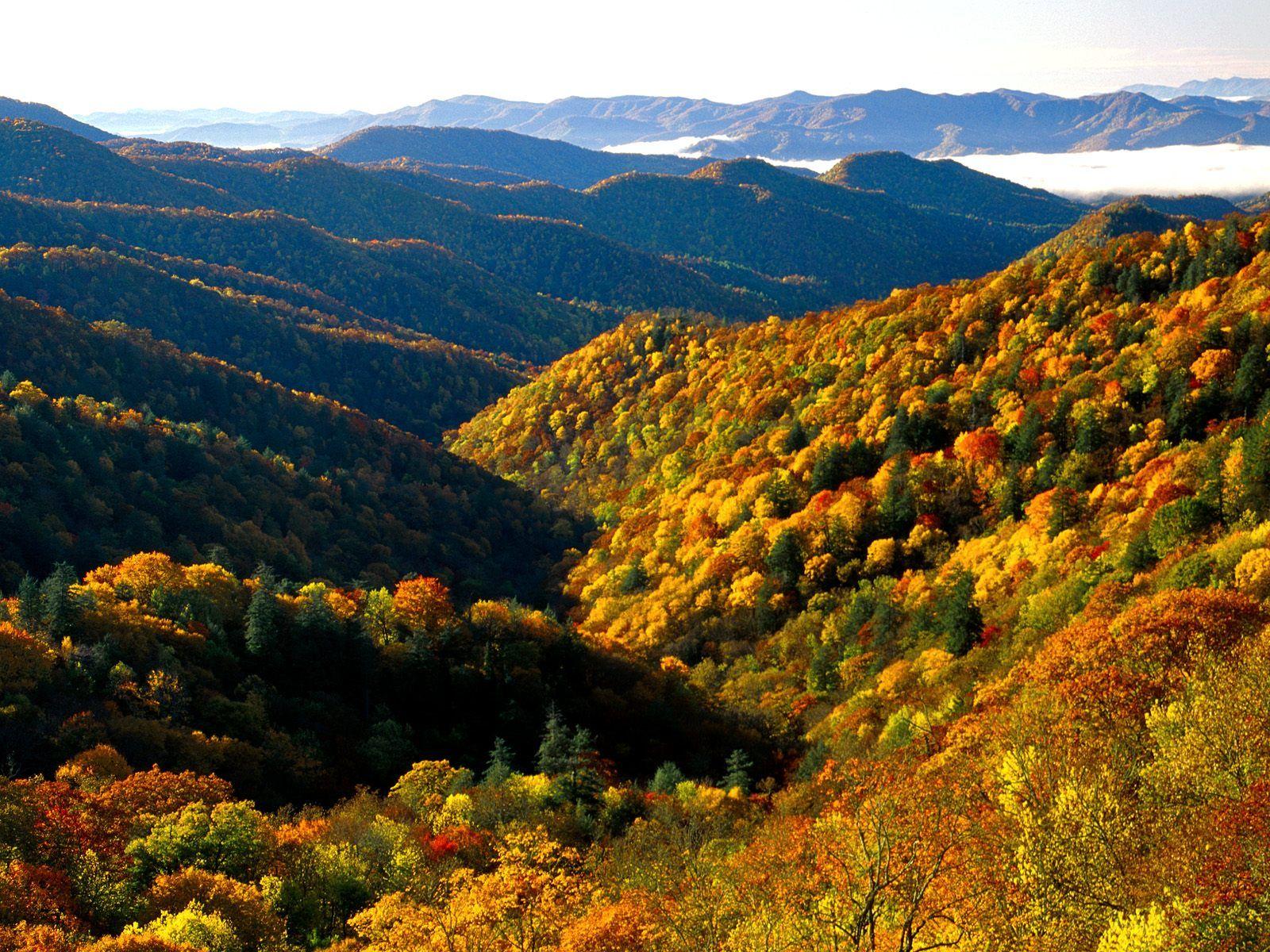 Smoky Mountain Wallpaper Free