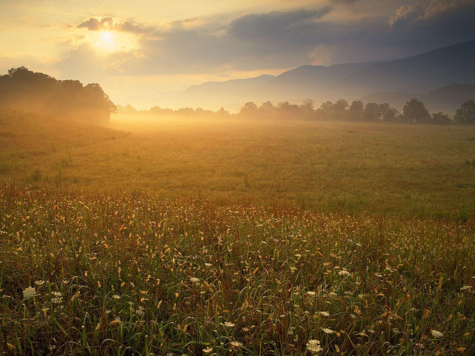 Nature: Cades Cove Sunrise, Great Smoky Mountains National Park