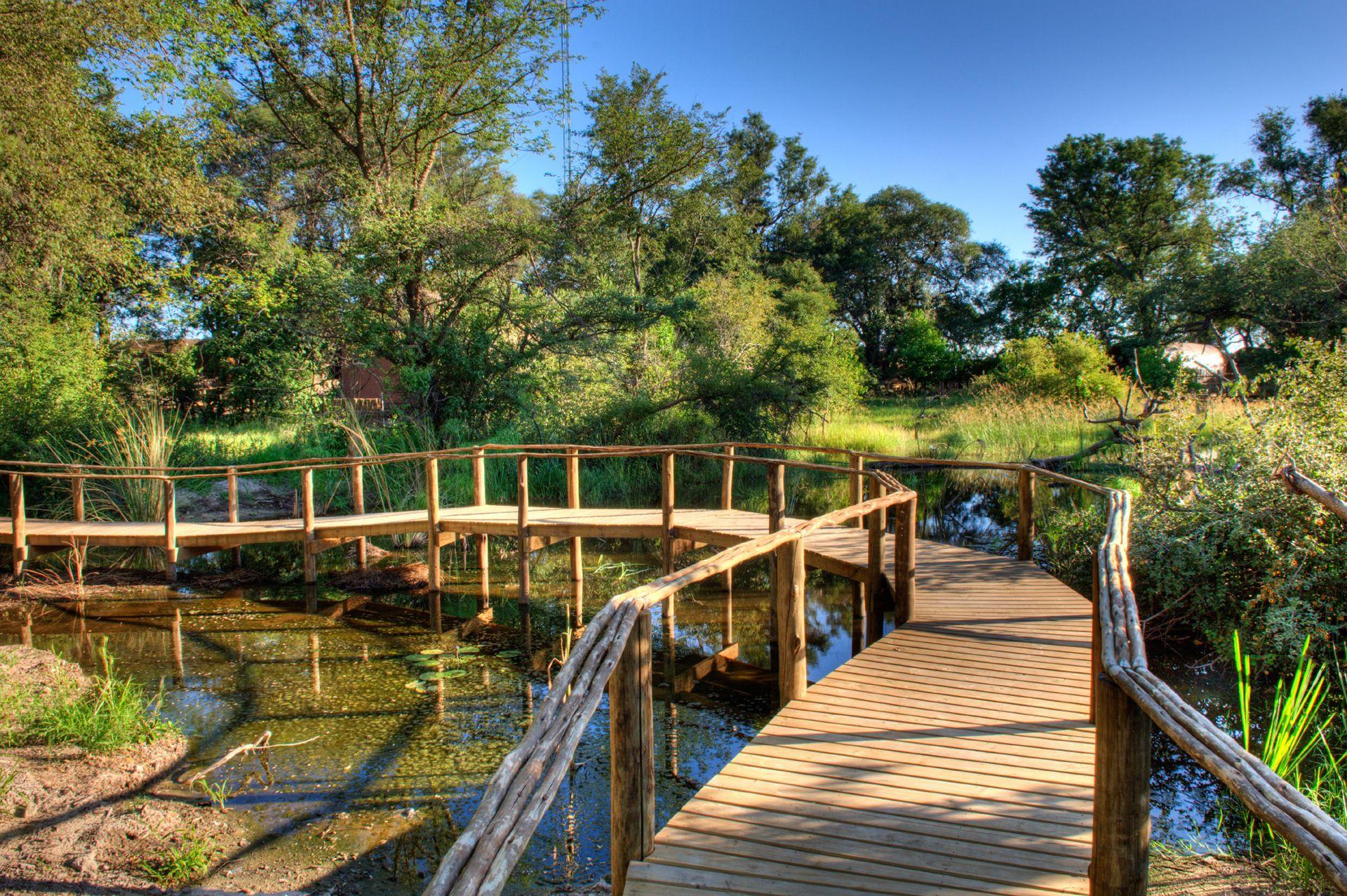 botswana wooden bridge. HD Windows Wallpaper