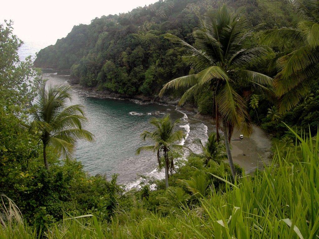 Saint David Parish Dominica #Photo