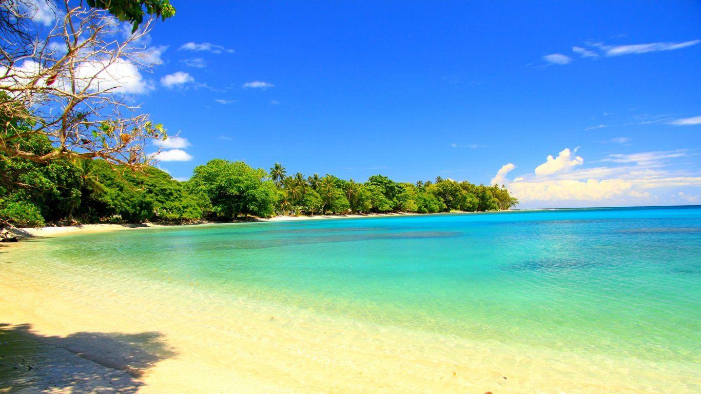 Beaches: Islands Palm Guadalcanal Beach Trees Island Water Emerald