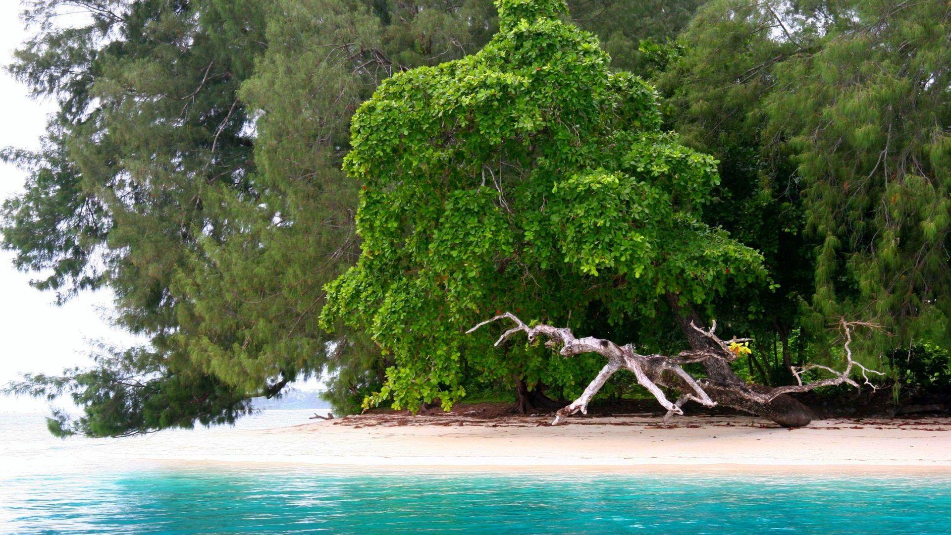 Wallpaper Tagged With Solomon: Sea Water Tropical Cottages Pier