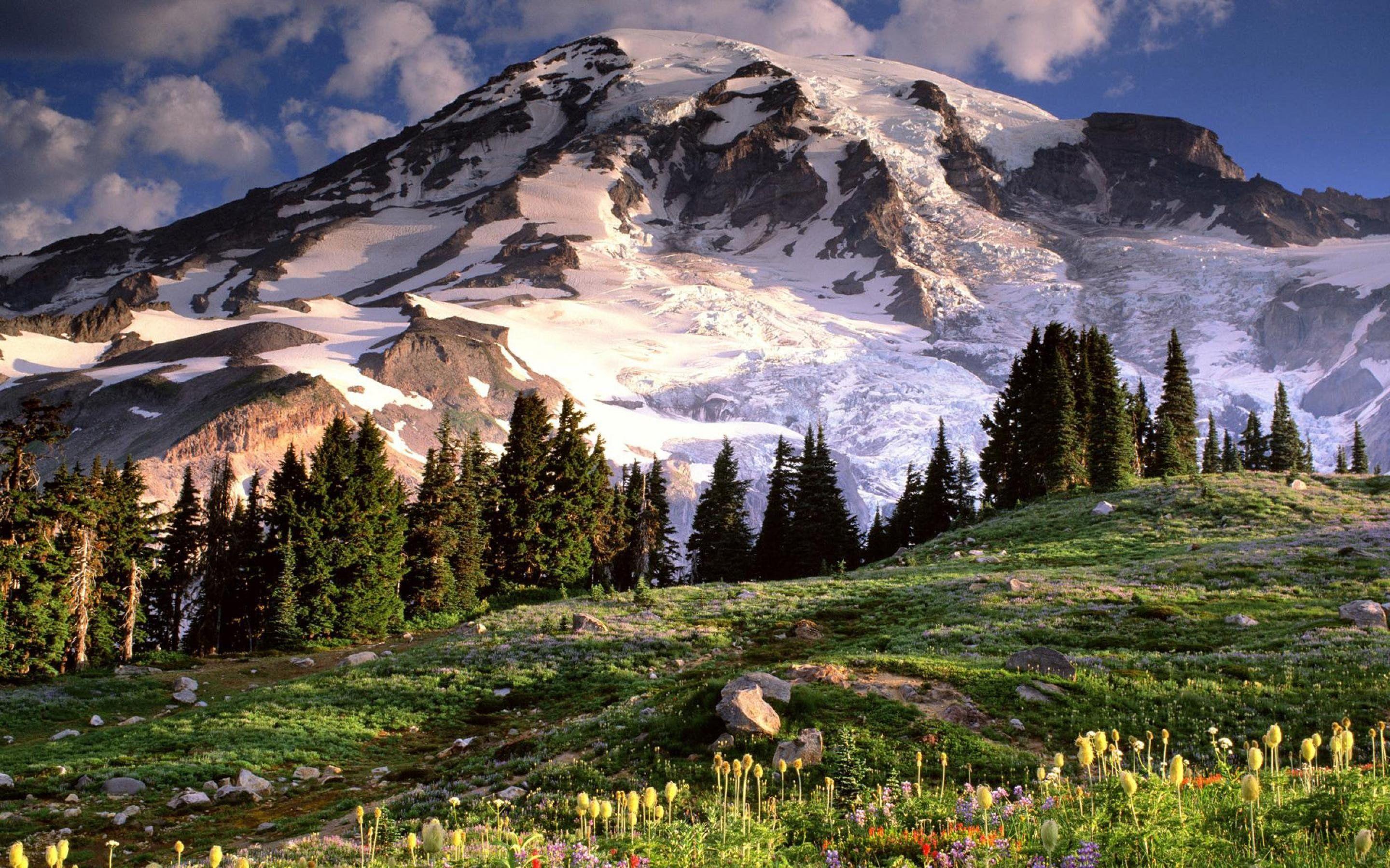 Mount Rainier 735816