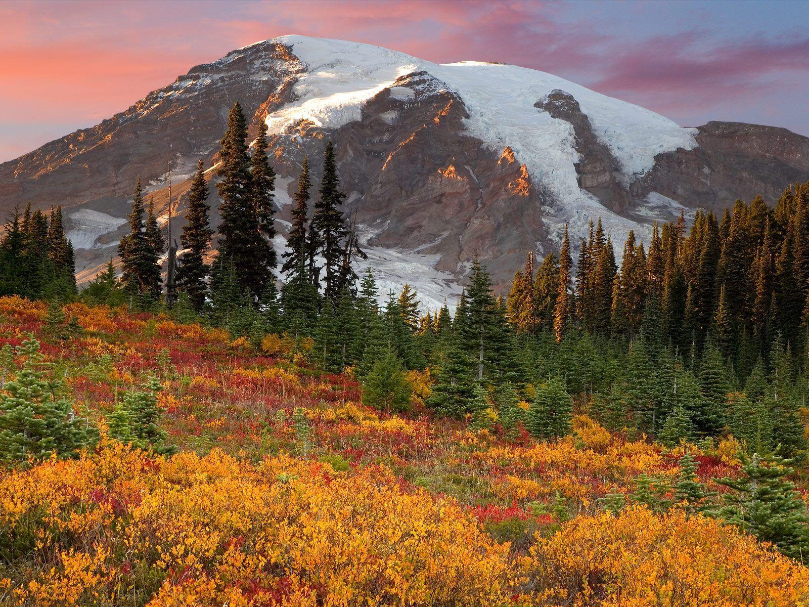 Mount Rainier HD Wallpaper