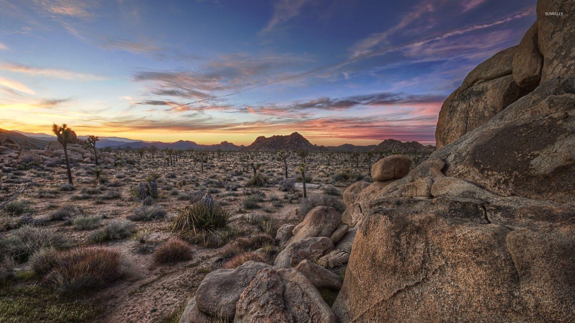 Joshua Tree National Park [7] wallpaper wallpaper