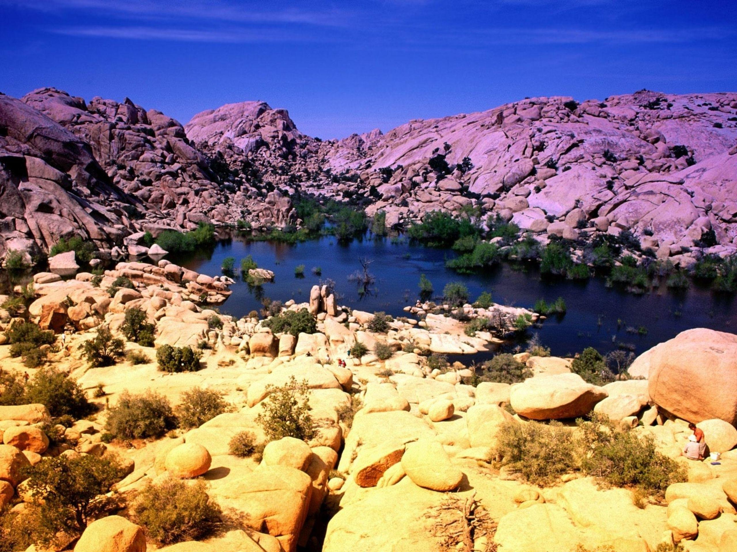 Joshua Tree National Park wallpaper. Joshua Tree National Park