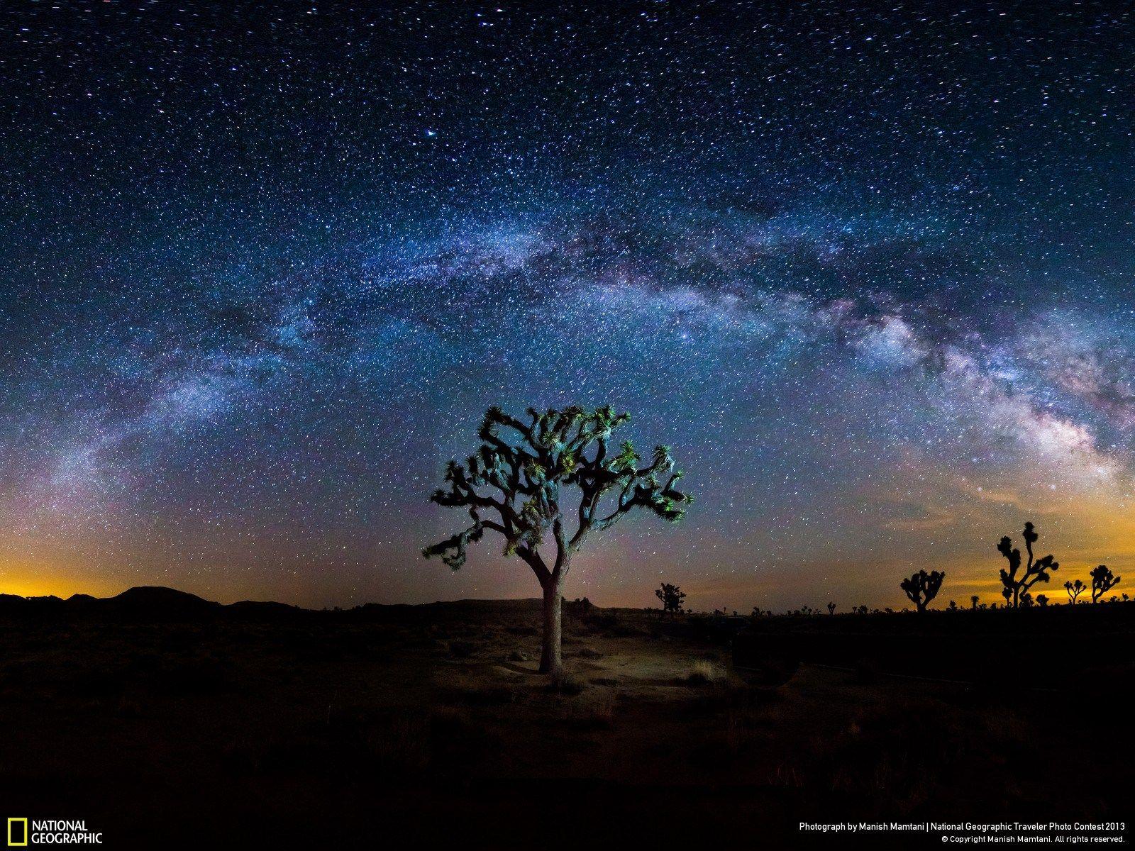 Joshua Tree: 28 Stunning Photo From America's Most Buzzed About