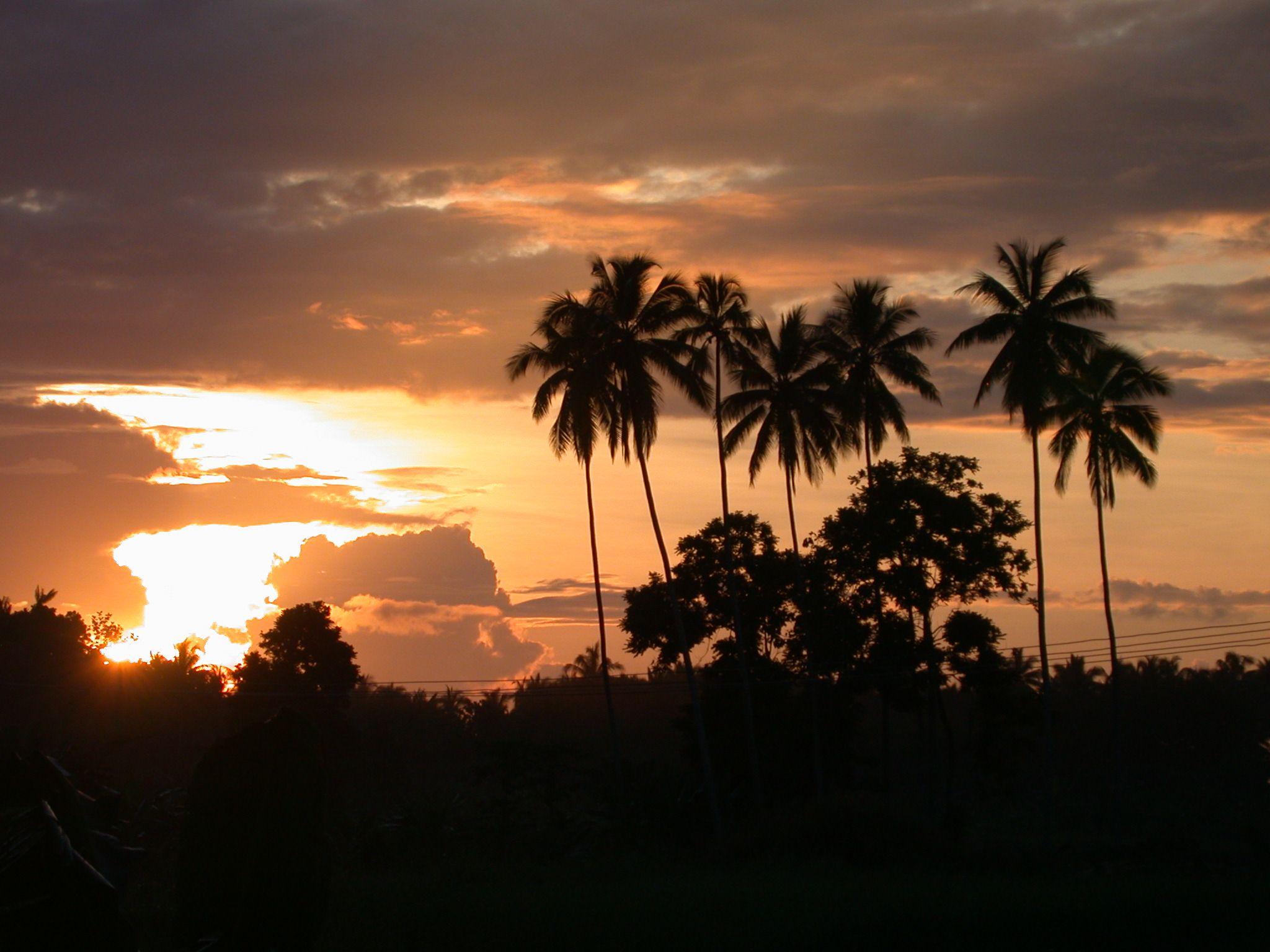 Papua New Guinea. joel and bethany potter