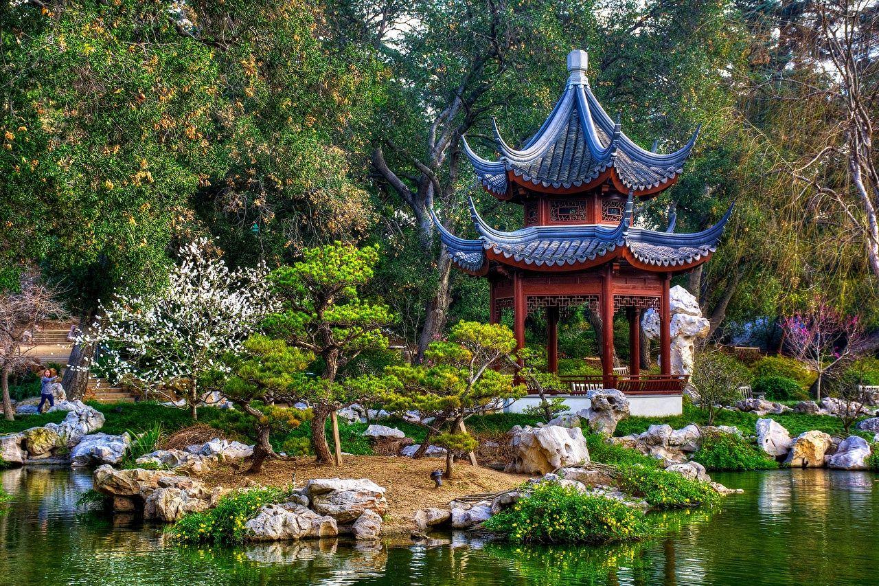 Wallpaper California USA Japanese San Marino Nature Parks Gardens