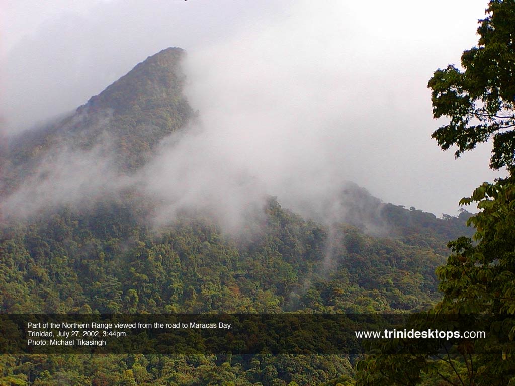 Welcome to Trinidesktops! Free Trinidad Tobago photo wallpaper!