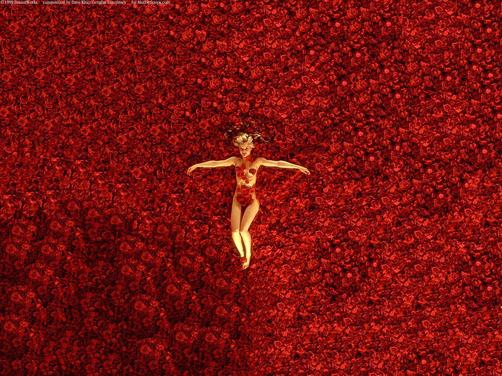 American Beauty Wallpaper 23. The Art Mad