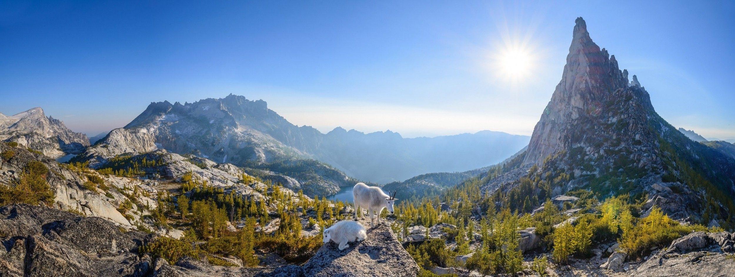 nature, Landscape, Panoramas, Mountain, Lake, Goats, Trees, Sun