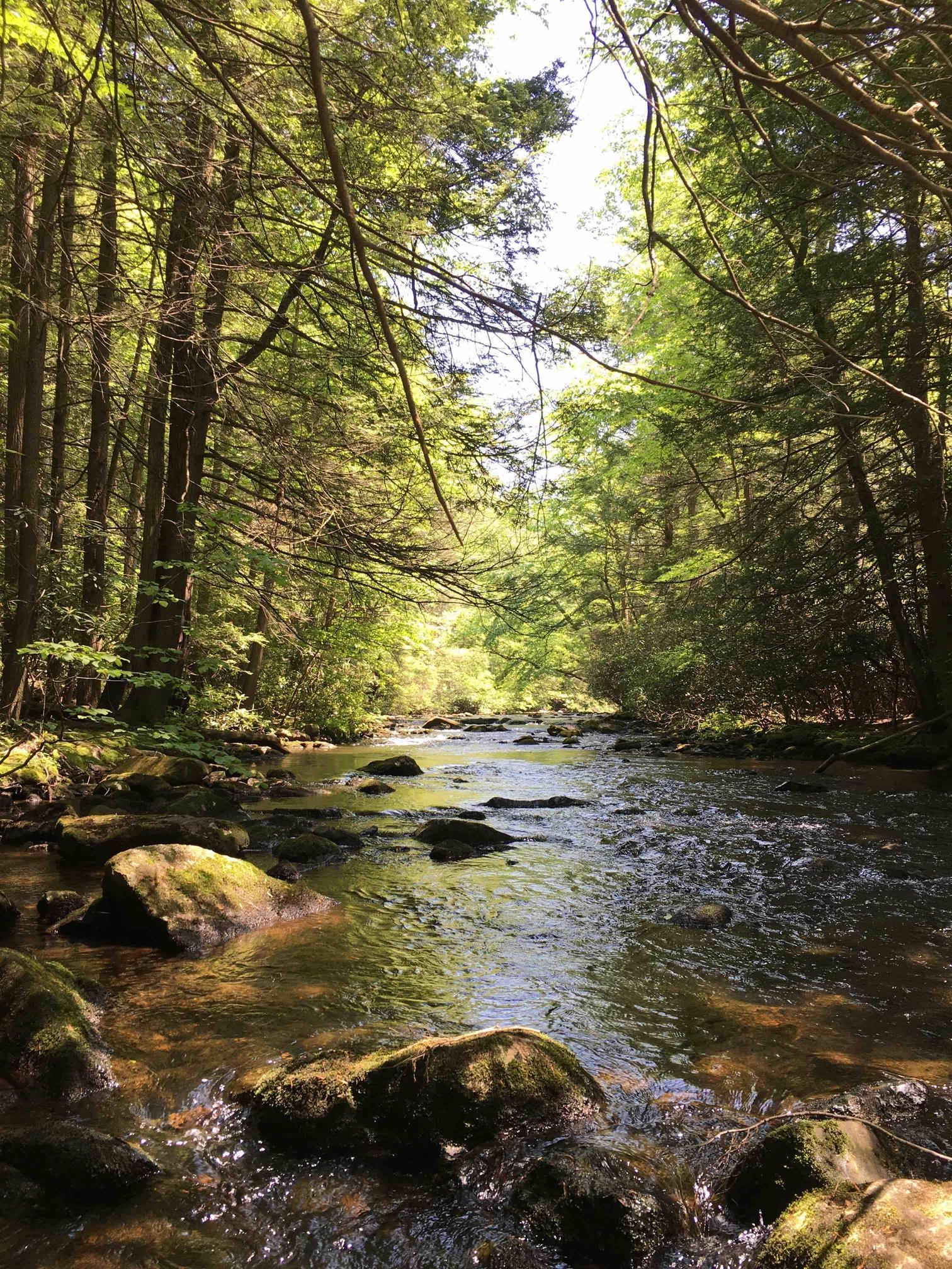 Stoney Creek, Pennsylvania OC HD Wallpaper From Gallsource.com