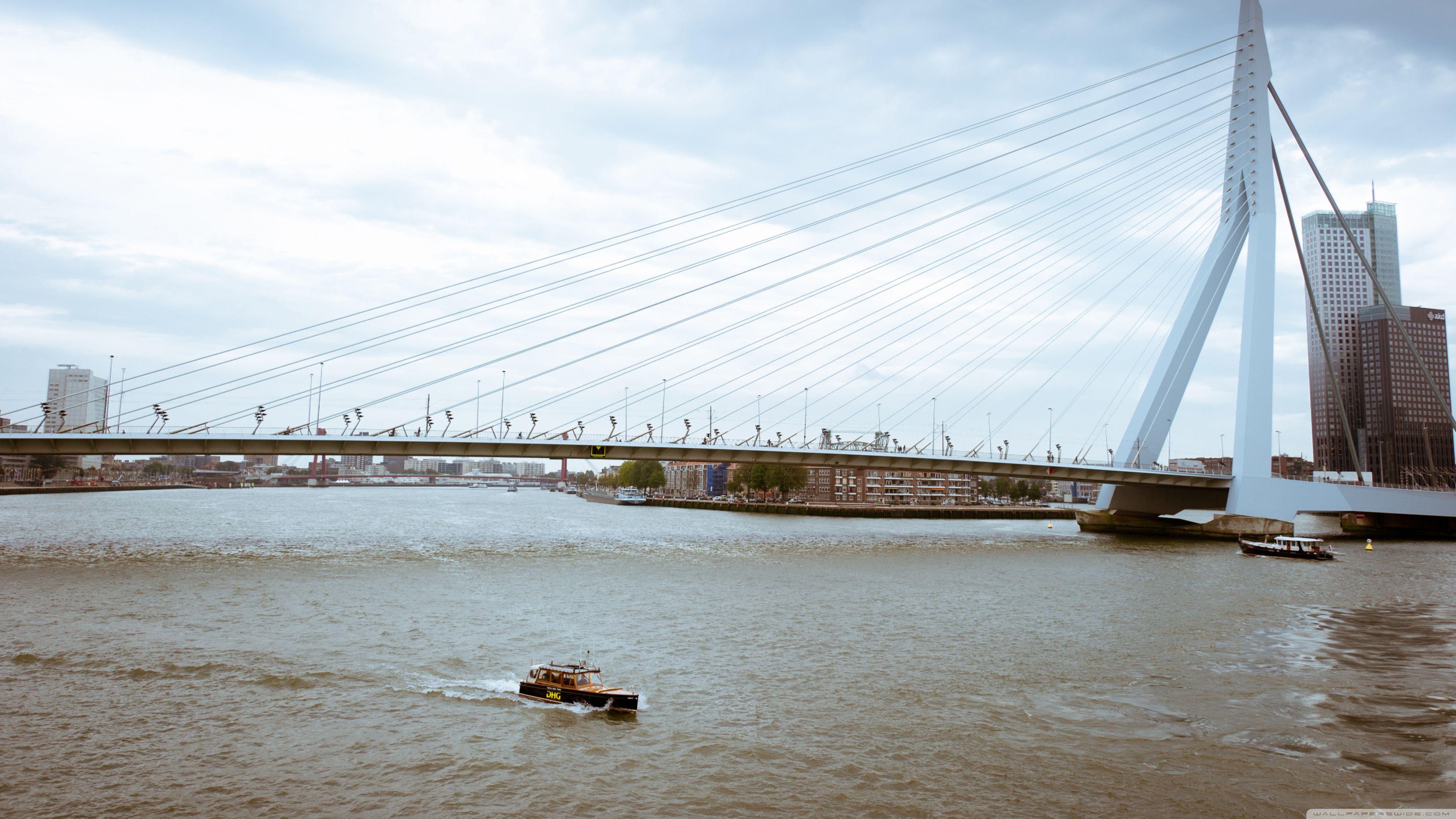 Erasmus Bridge, Rotterdam, Netherlands ❤ 4K HD Desktop Wallpaper