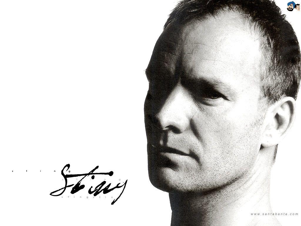 Sting image Sting HD wallpaper and background photo