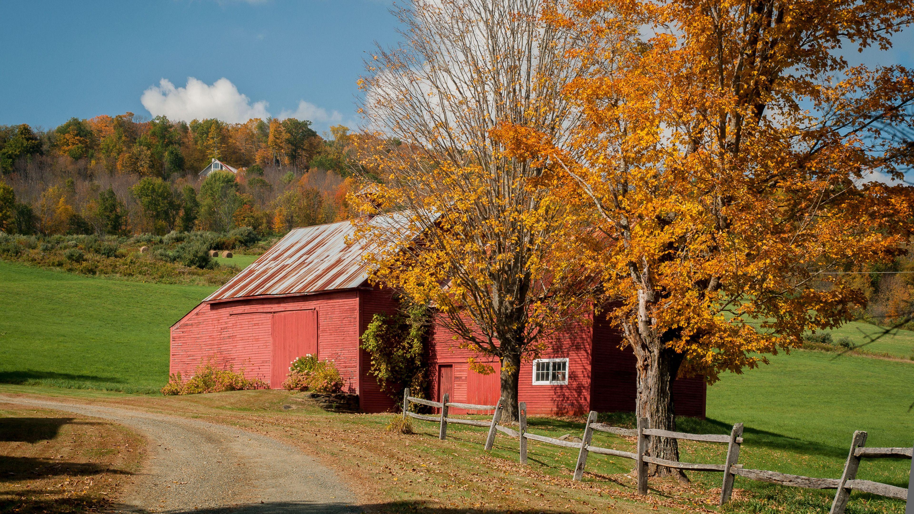 Fall in Vermont wallpaper