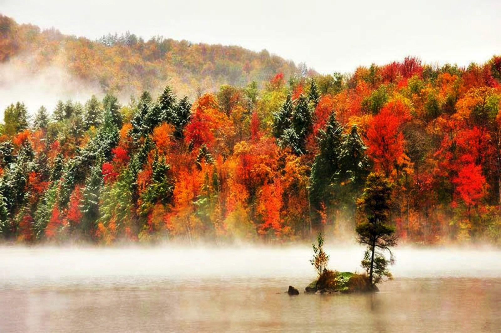 Forests: Snow Fog Fall Vermont River Trees Storm Forest HD Live