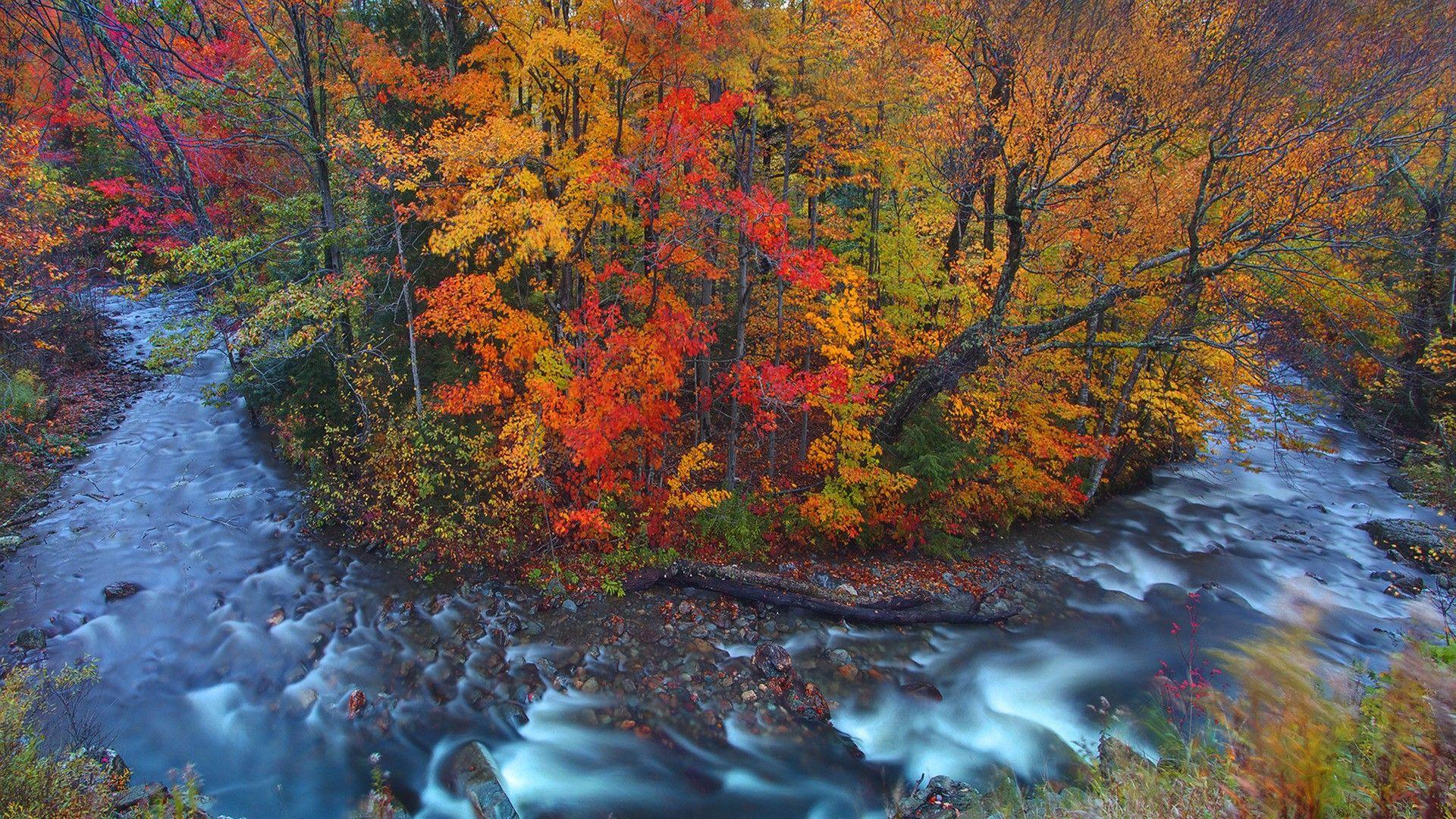 Rivers: River Horseshoe Bend Vermont Autumn Forest Full HD 1080p