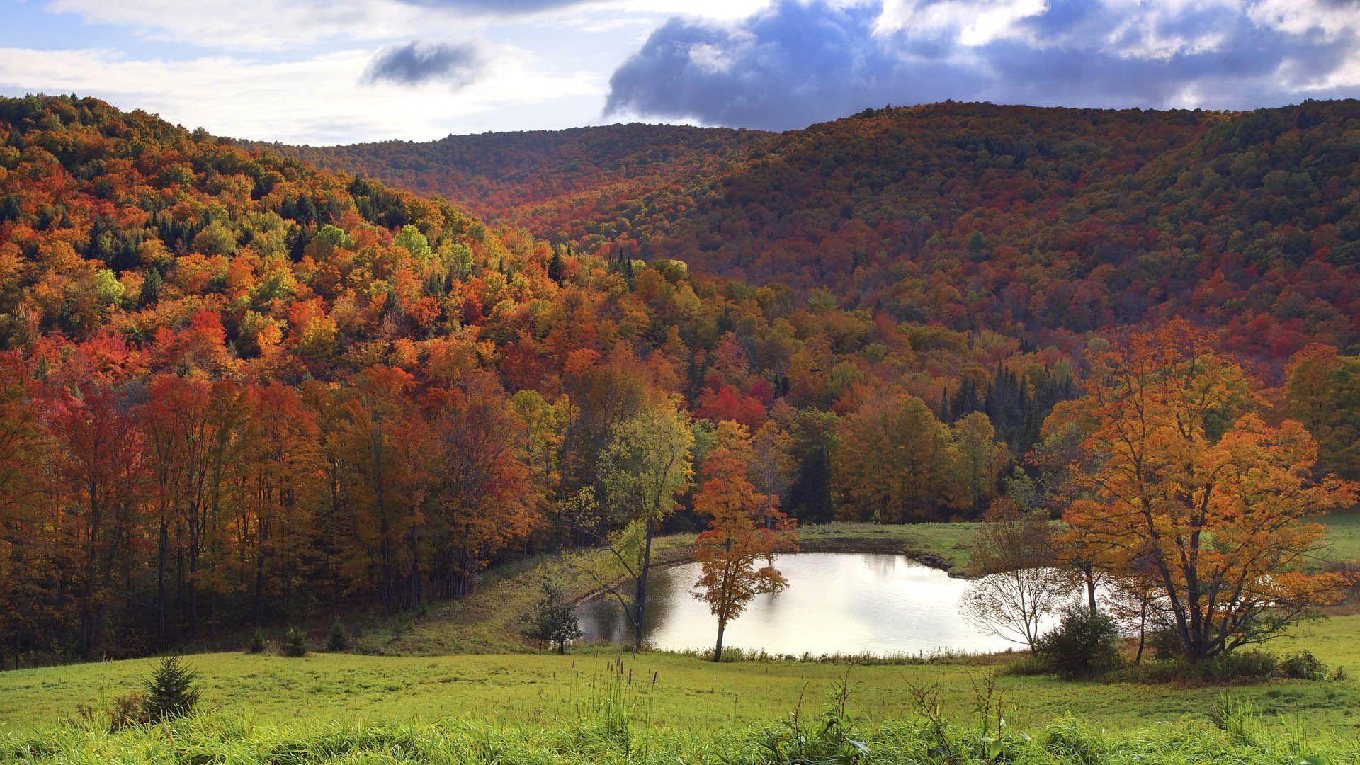 Mountain Valley Background