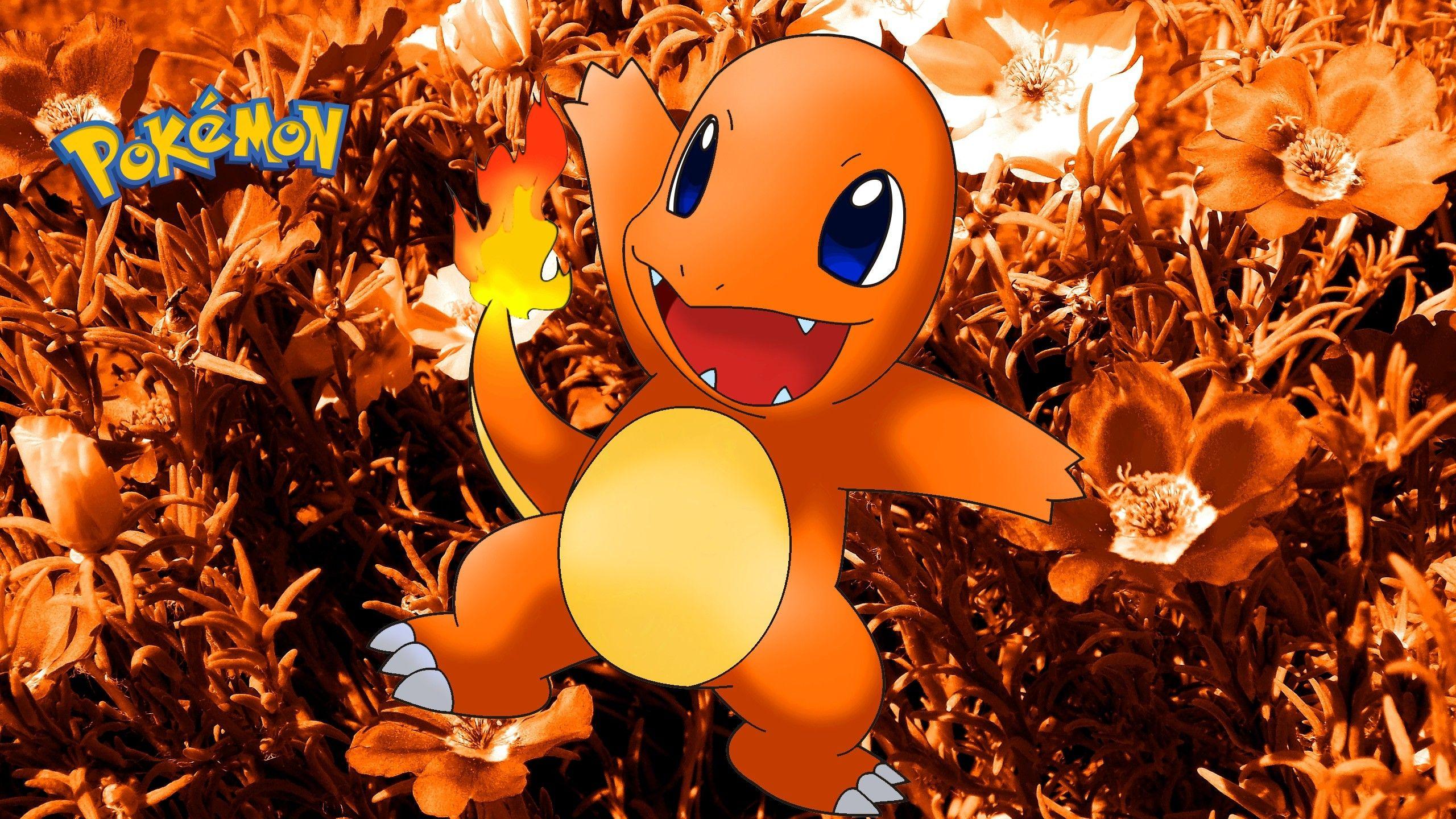 Charmander Background.com