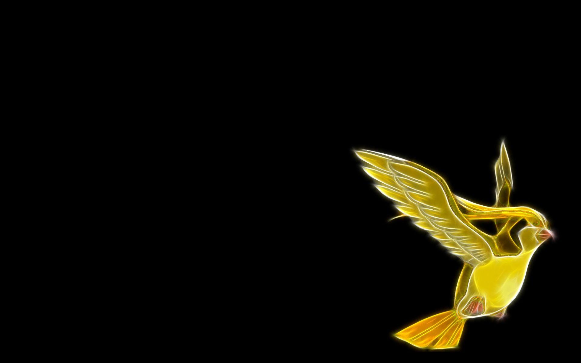 pokemon pidgeot black background 1920x1200 wallpaper High Quality