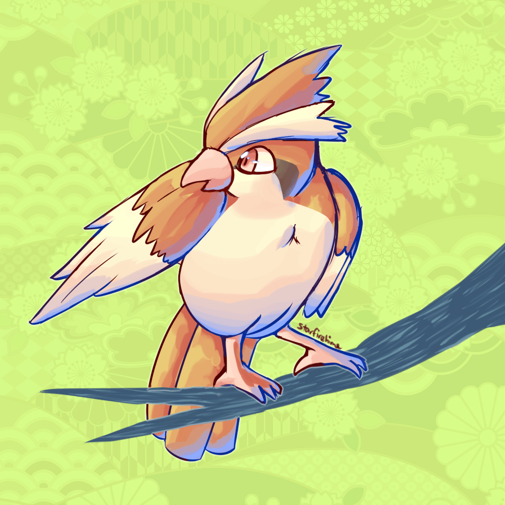 Pidgey Preening