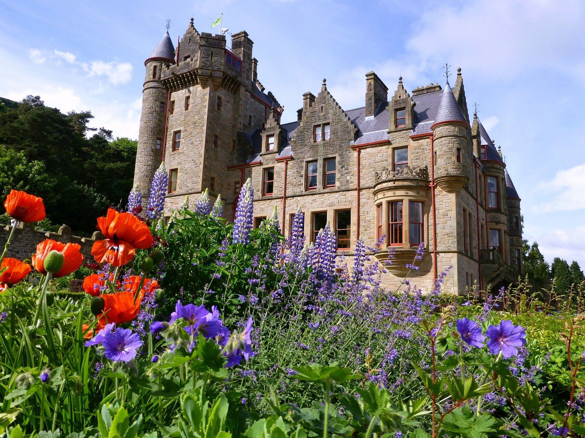 Medieval: Belfast Castle Ireland Flowers Background Picture