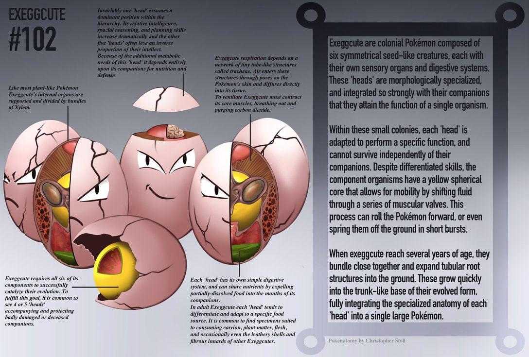 Exeggcute Pokedex Entry By Christopher Stoll