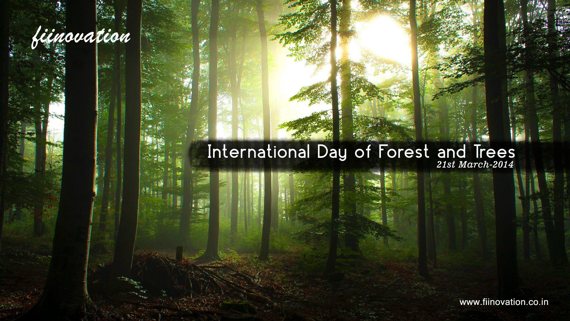 International Day of Forests Financial Advisors Pvt