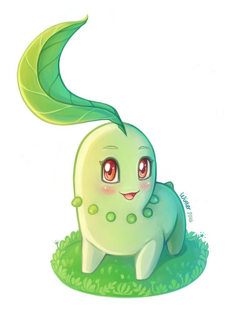 Chikorita