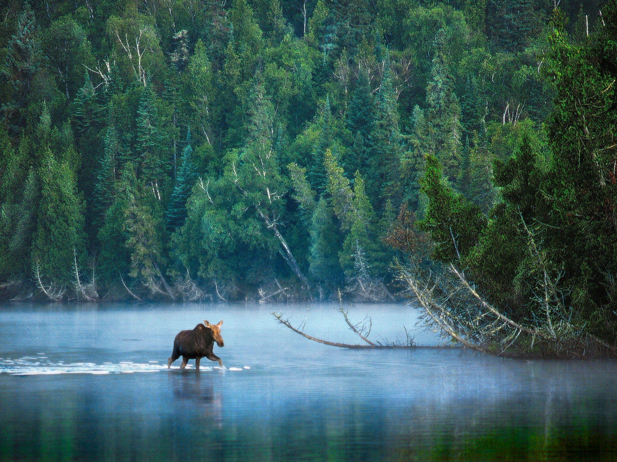 Isle Royale National Park Houghton, Michigané Nast Traveler