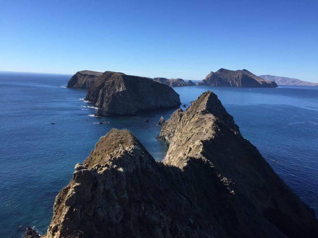 This is what volunteering at Channel Islands National Park looks