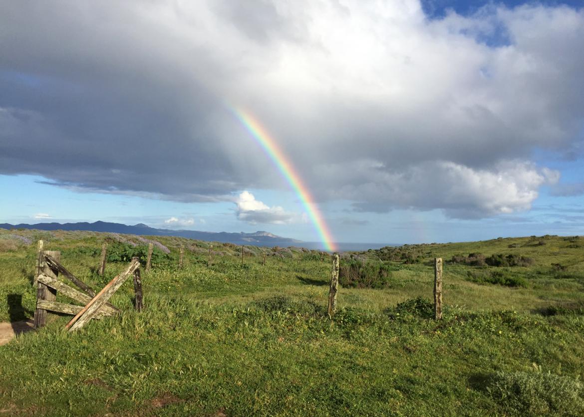 Volunteer Vacation at Channel Island, California