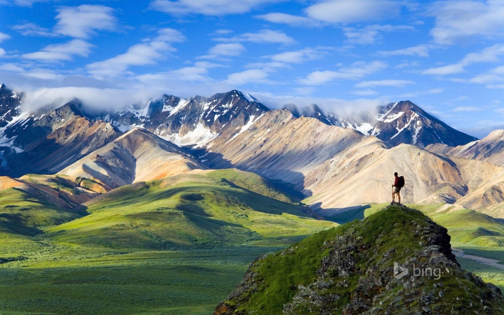 Denali National Park Wallpaper