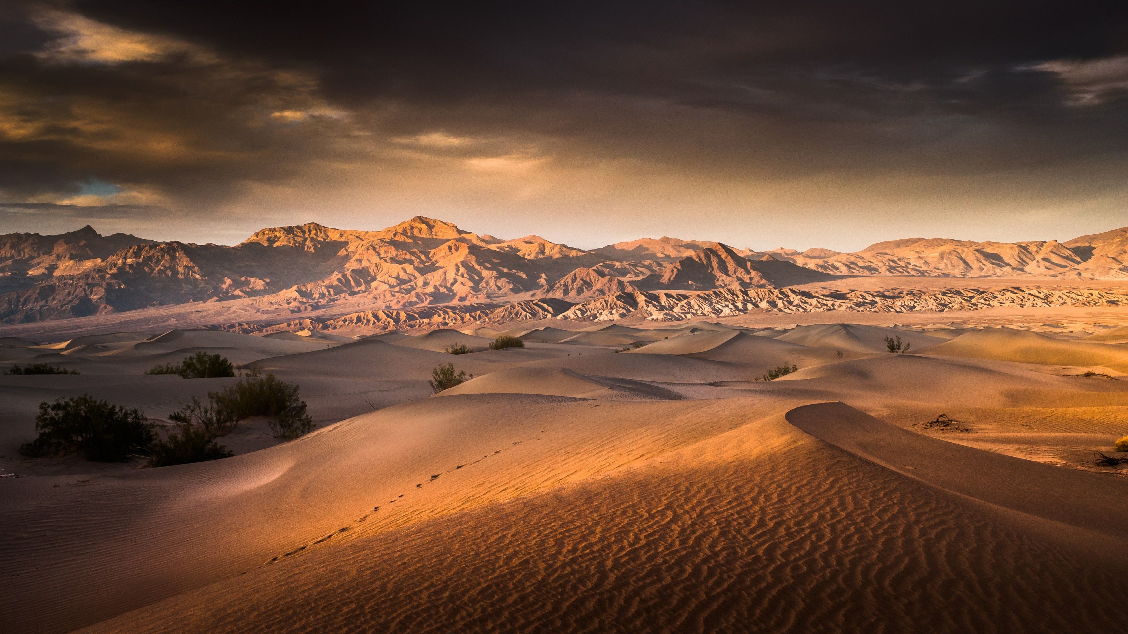 Sunrise Over The Mesquite Flat Sand Dunes Valley National