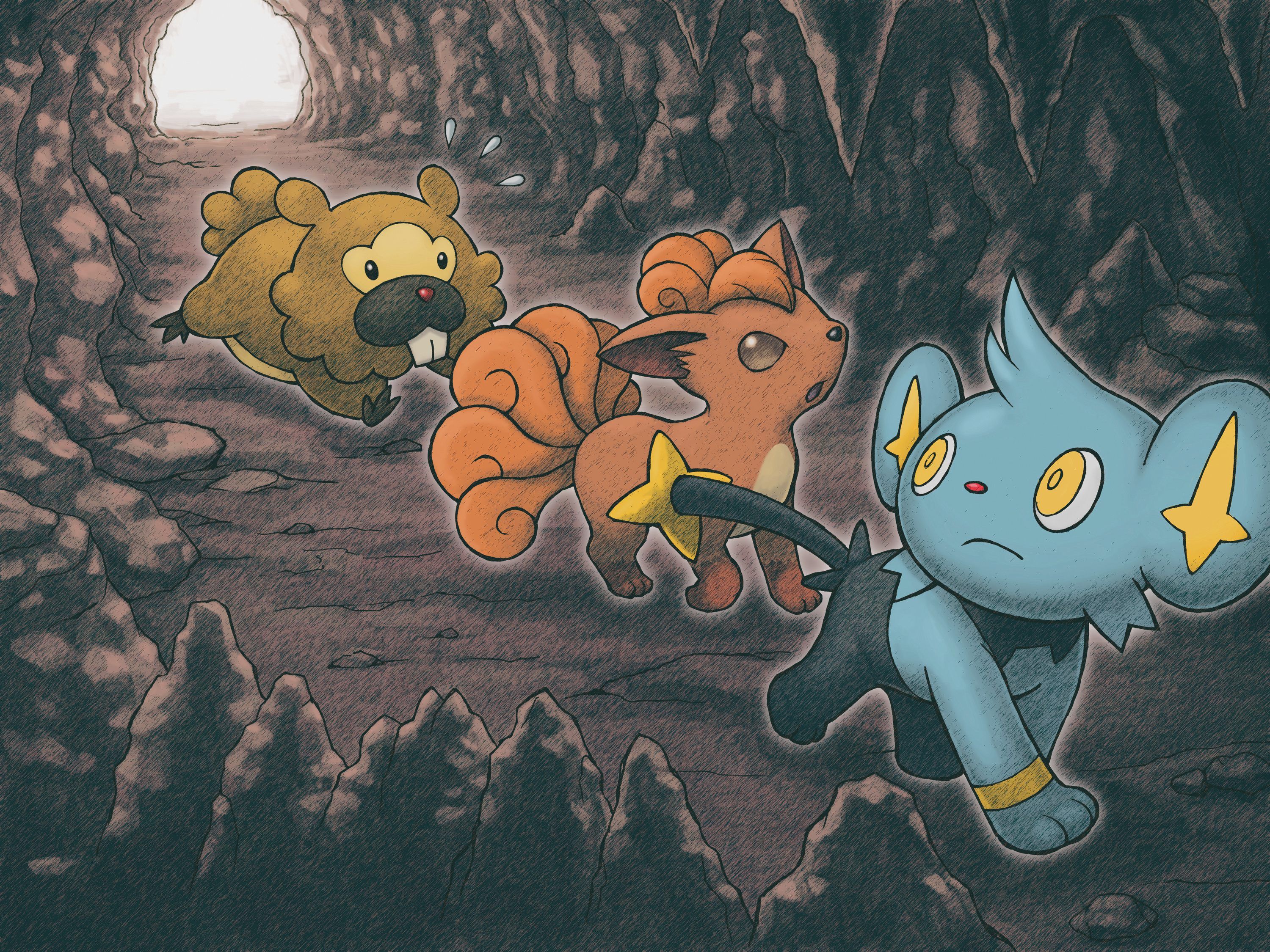 Shinx (Pokémon) HD Wallpaper and Background Image