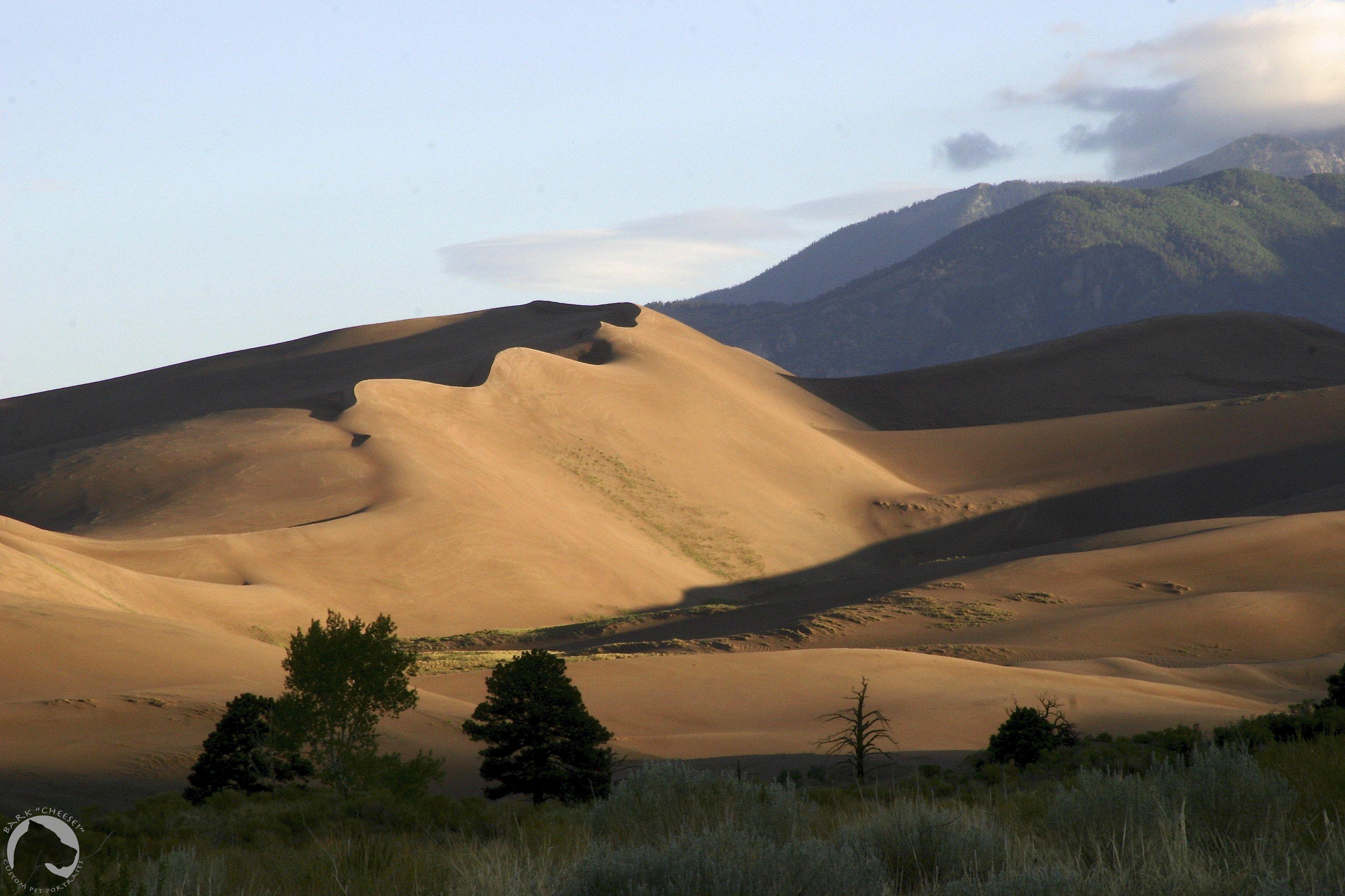 Great Sand Dunes National Park and Preserve. Bark Cheese! Blog