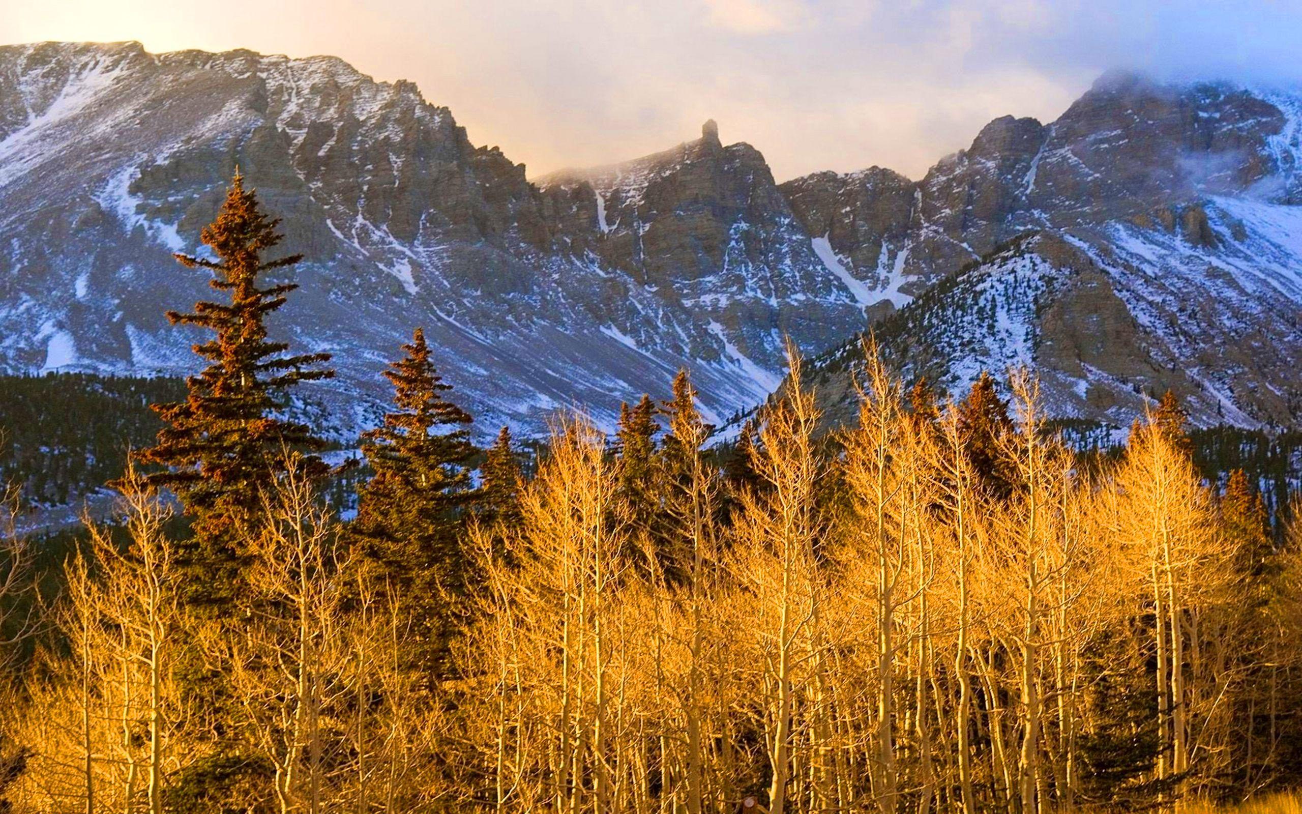 Wheeler Peak, Great Basin National Park, Nevada, Wallpaper13.com