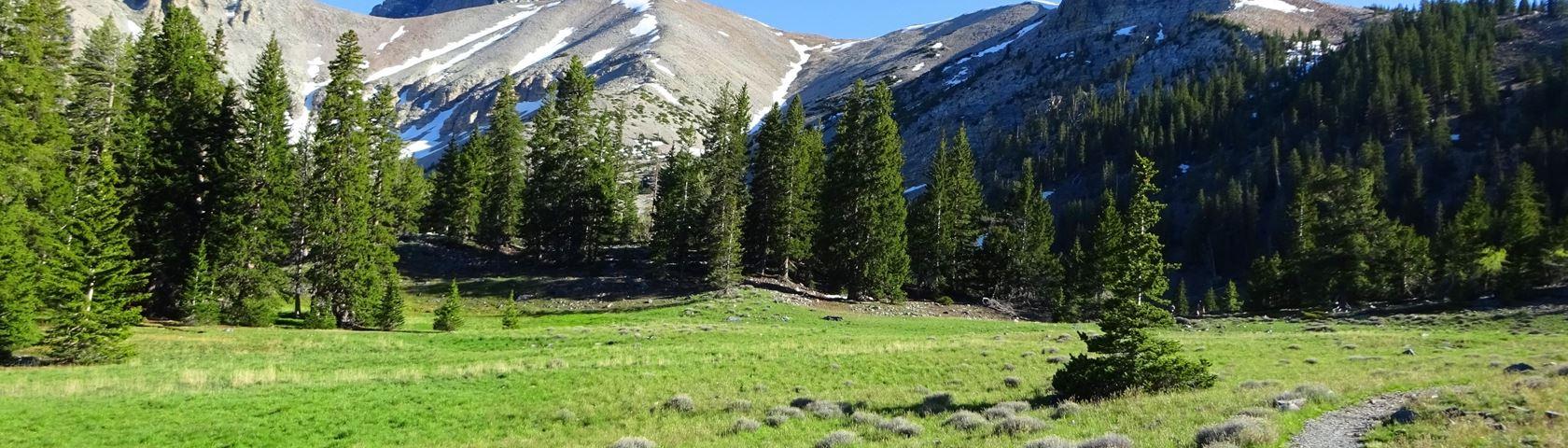 Great Basin National Park • Image • WallpaperFusion